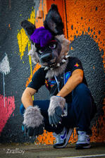 Photo by : Zrailloy Photo by : Zrailloy